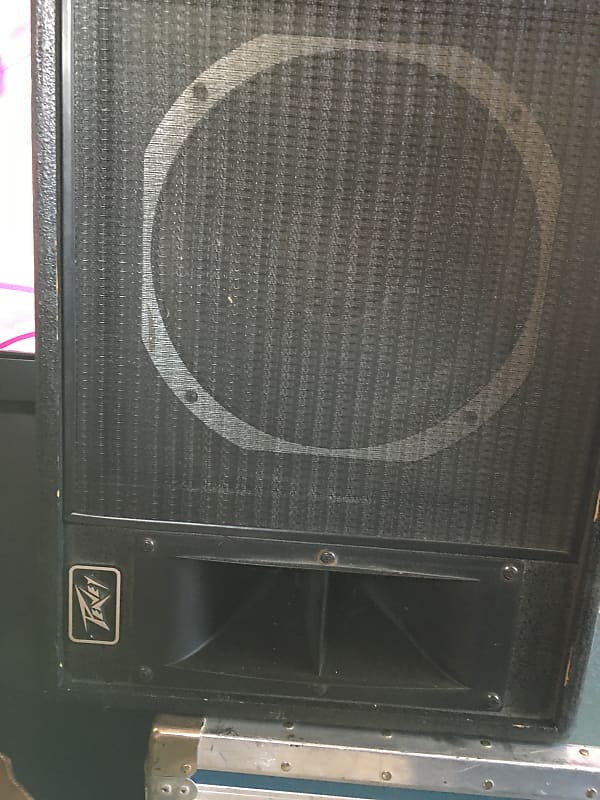 Peavey 112hs monitor | Reverb