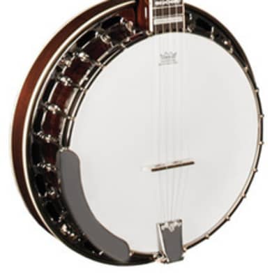 Morgan Monroe MB-9 Duelington Deluxe Banjo w/ Ebony Fingerboard, Flamed image 1