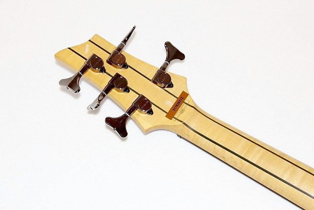 Schecter Guitar Research C-5 Custom 5-String Electric Bass
