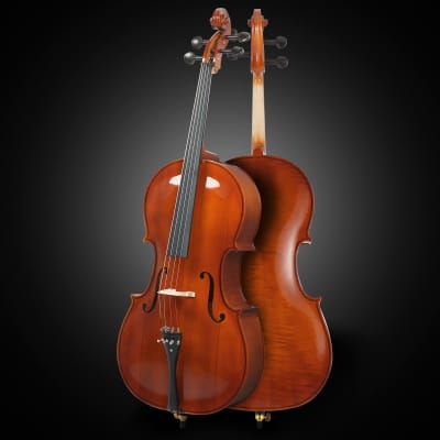 Glarry GC201 4/4 Solid Wood Spruce Panel Cello Varnish image 7