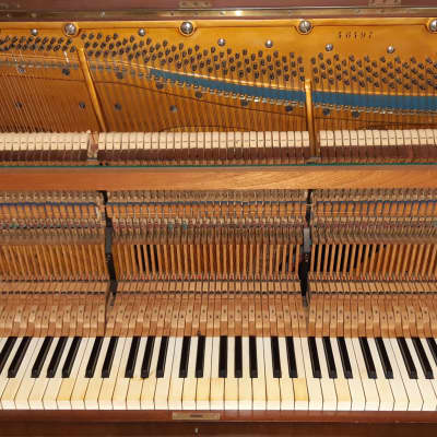 Rare C. Bechstein Model V Upright Piano 1898- Ships with CITES Permit Internationally image 5