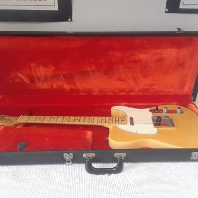 1974 Fender Telecaster Natural Butterscotch Blonde OHSC Clean & Superb! image 21