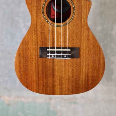 Amahi C-04 Amahi All Solid Koa, Concert Cutaway image 2