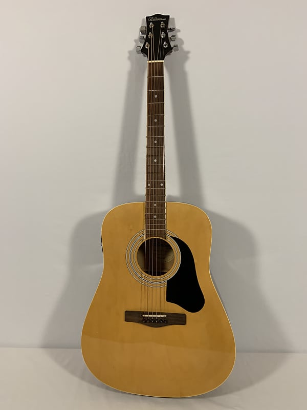 Silvertone pro series acoustic guitar price hotsell