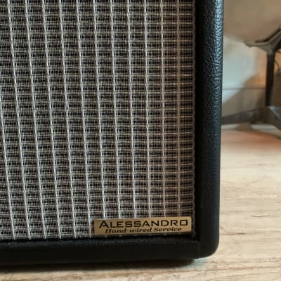 Alessandro Modified Fender Princeton Reverb w 12" Speaker w/ NOS Tubes image 5
