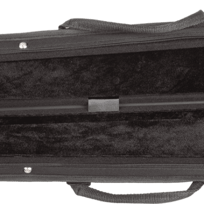 Upright store bow case