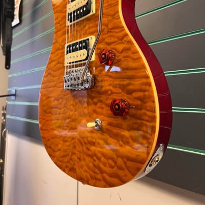 PRS 25th Anniversary SE Custom 24 | Reverb UK