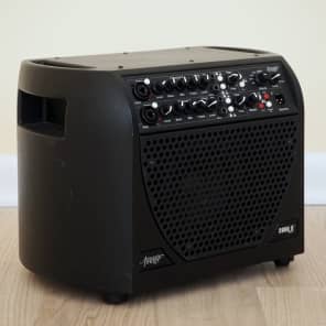 ベースアンプ　アコースティックイメージ CODA R SERIESⅢ Acoustic Image Coda R Series III Combo – Chicago Music Exchange