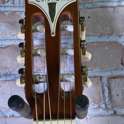 Epiphone Pro-1 Classical Classical Acoustic Guitar (Buffalo Grove, IL) image 5