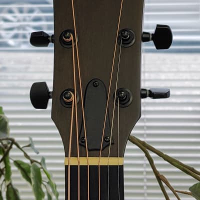 Taylor 214ce DLX LTD 2023 Acoustic Guitar with Electronics - Transparent Grey image 7