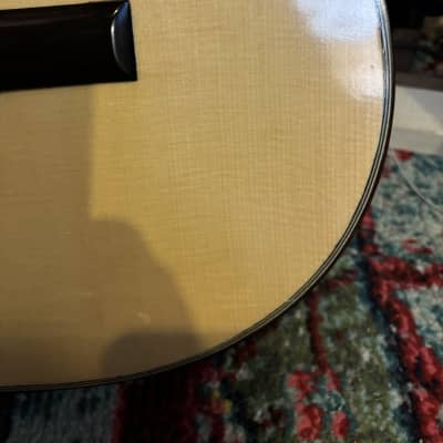 Darren Hippner Santos 2019 image 4