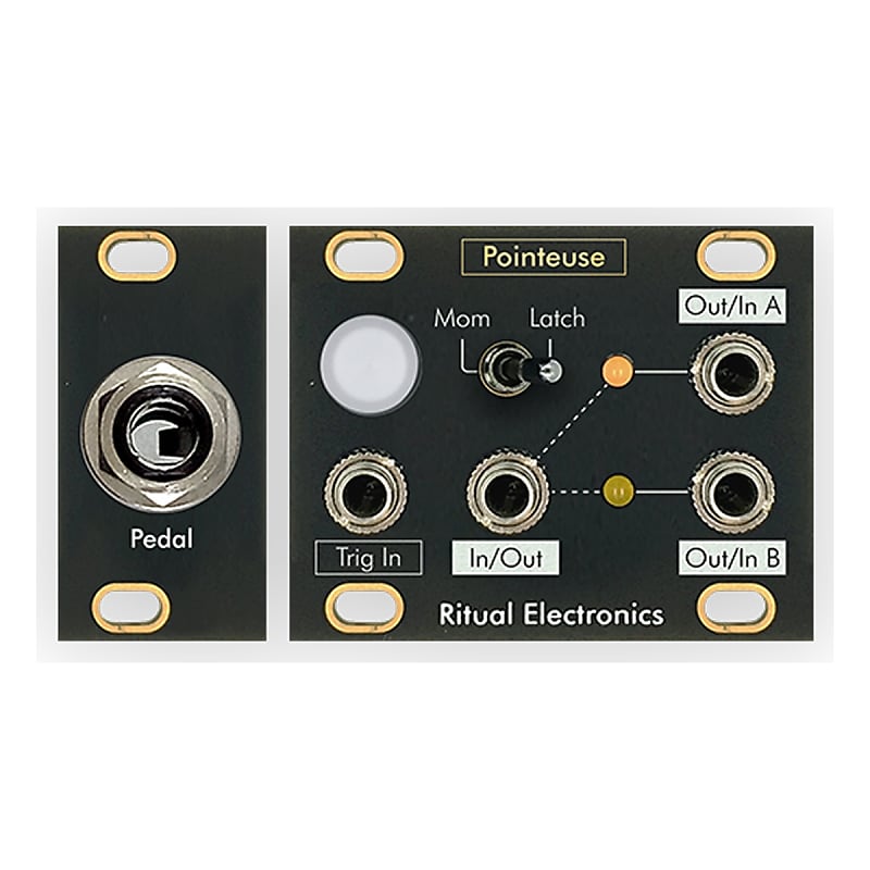 Ritual Electronics Pointeuse Eurorack 1U Switch Module image 1