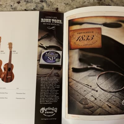 Martin Limited Edition & New Models Catalog  2012 D-100 D-18 DRS-2 image 4