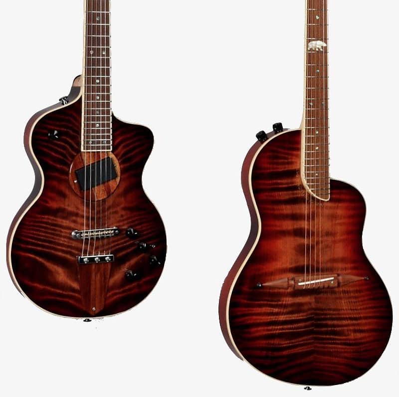 Rick Turner California Series Guitars - Model 1 & Renaissance Twin Set 2021 Set #4 of 5 image 1