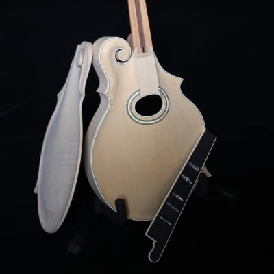 Dave Gregory Gibson Style F4 3 POINT Mandolin image 10