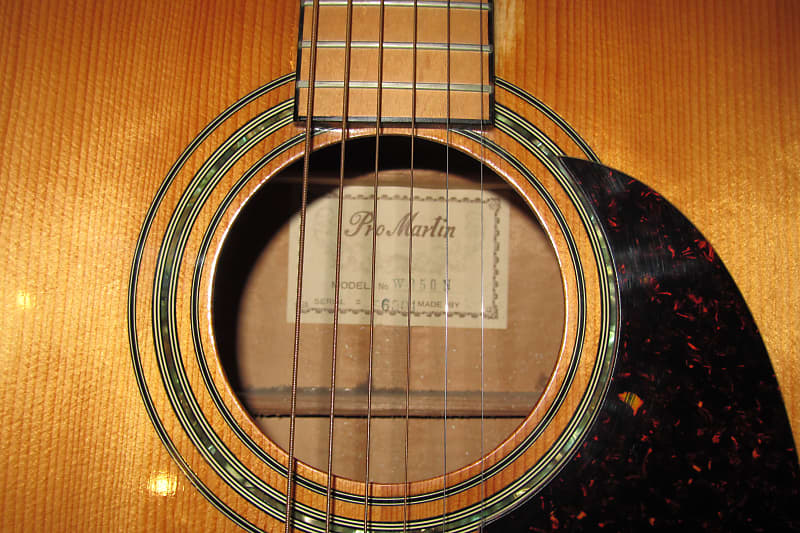 Pro-Martin w250n rare vintage acoustic guitar