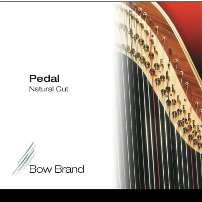 弦楽器 Burgundy Natural Gut Harp Strings Burgundy Natural Gut Harp Strings - No. 20 - 3rd Octave G