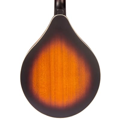 Pilgrim Redwood ~ A-Style Mandolin 'F' Holes image 3