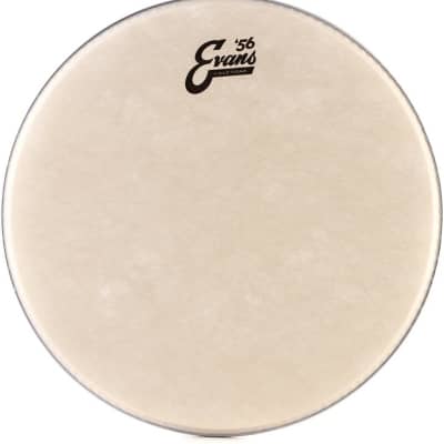 Evans Calftone Drumhead - 14 inch image 1