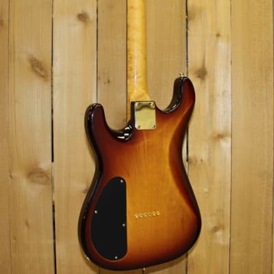 Warmoth Chambered S-Style, USED image 2