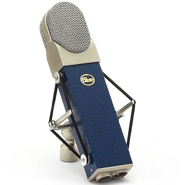 Blue Blueberry Microphone image 1
