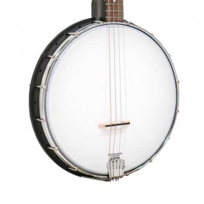 BANJO 4 Cordes GOLD TONE AC-4 - ténor open back image 2