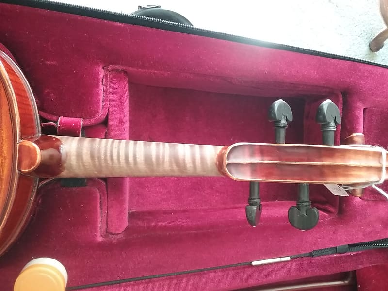 Gliga Cristian professional viola 17