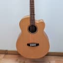 Tanglewood TWRAB Acoustic Bass Guitar