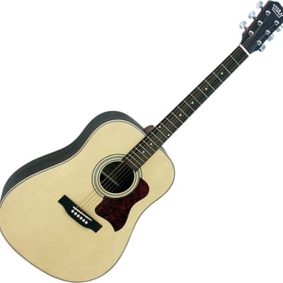 Storm  D80SN acoustic guitar for sale
