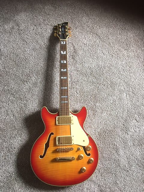 Jay Turser 1998-2000 Jay Turser Semi Hollow (Model JT134DC) -339