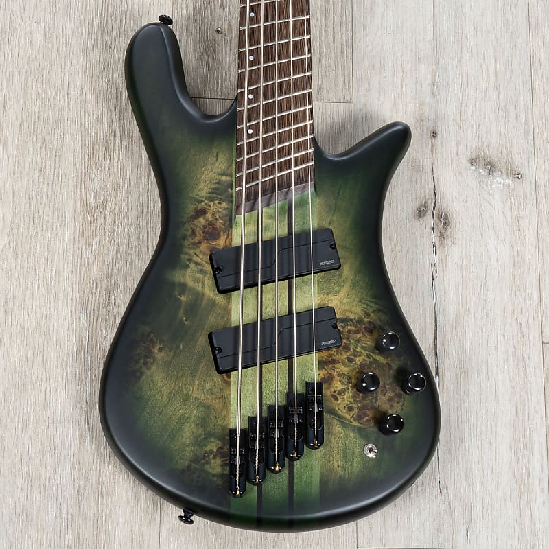 Spector NS Dimension 5 Multi-Scale 5-String Bass, Wenge, Haunted Moss Matte image 1