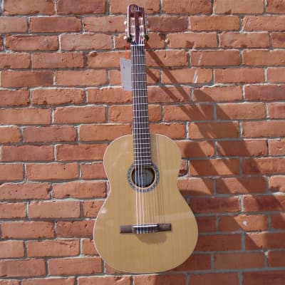 Godin Collection 2022  SF Classical Guitar image 1