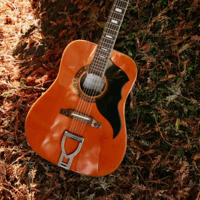 RARE! Ovation 1858 Elite 12-String Acoustic/Electric Guitar