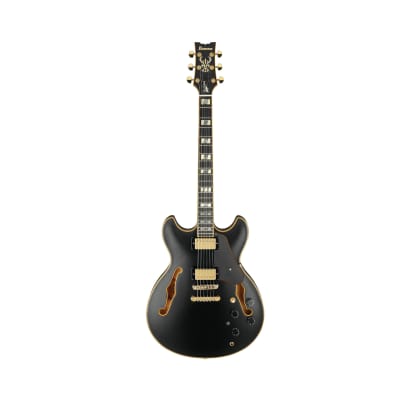 Ibanez John Scofield Signature 6-String Electric Guitar with Case (Black Low Gloss) for sale