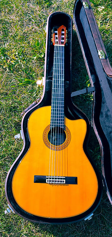 Yamaha GCX-31c - Cedar Rosewood Classical Guitar - Pickup/mic system