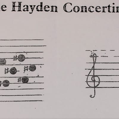 NEW Mahogany Stagi Hayden Duet Concertina M 46 image 4