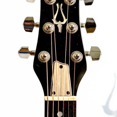 Daion Savage Blue Electric Guitar w/ Original Daion Branded Hardshell Case image 9