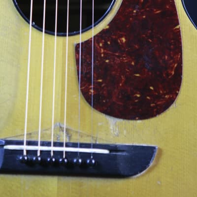 1923 Washburn Style C (O-18) Vintage Acoustic Guitar 1923 image 7