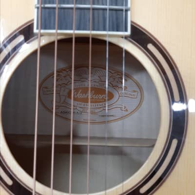 Washburn AG40CEK-A-U Arch top Guitar w/Hardcase image 2