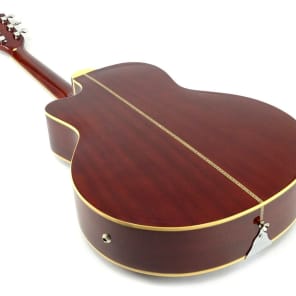 Unbranded RESONATOR GUITAR in HARD CASE Acoustic-Electric Steel Pan SAPELE Bluegrass Blues 2022 Sunb image 3