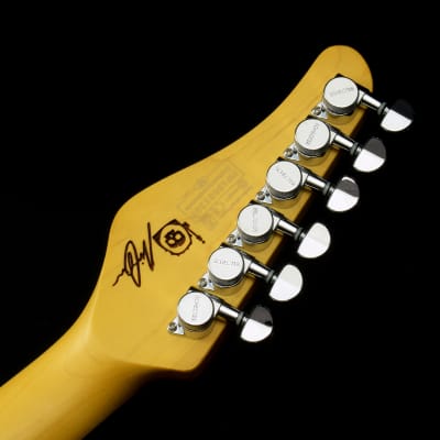 SCHECTER Schecter Nick Johnston Traditional Atomic Silver [SN IW18081309] (03/11) image 8