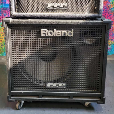 Roland DB-500 D-Bass 2-Channel 160-Watt 1x12