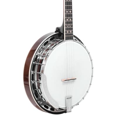 Gold Tone PS-250/L Plectrum Special Bell Brass Tone Ring 4-String Banjo w/Hard Case For Lefty Player image 1