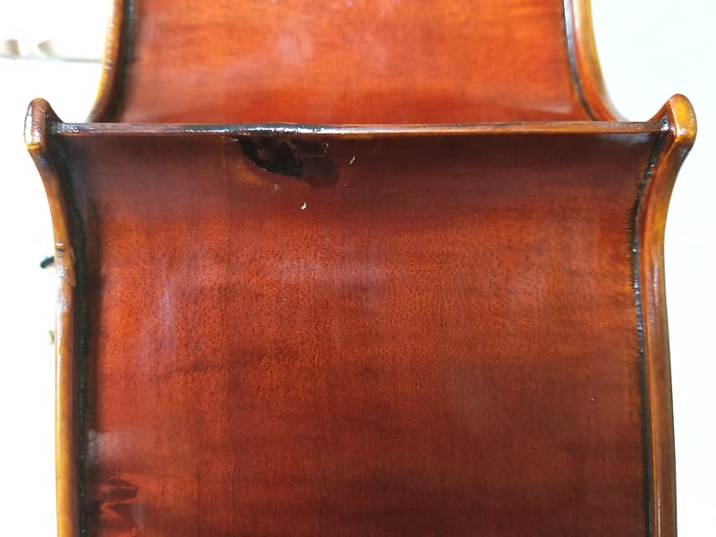 新品チェロ CLAUDIO BACCI 4/4サイズ | 株式会社エルフラット