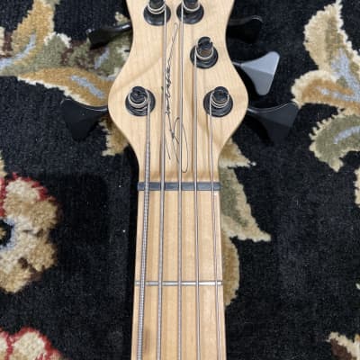 Prototype Brubaker NBS Lightwave 5 String Bass Guitar image 5