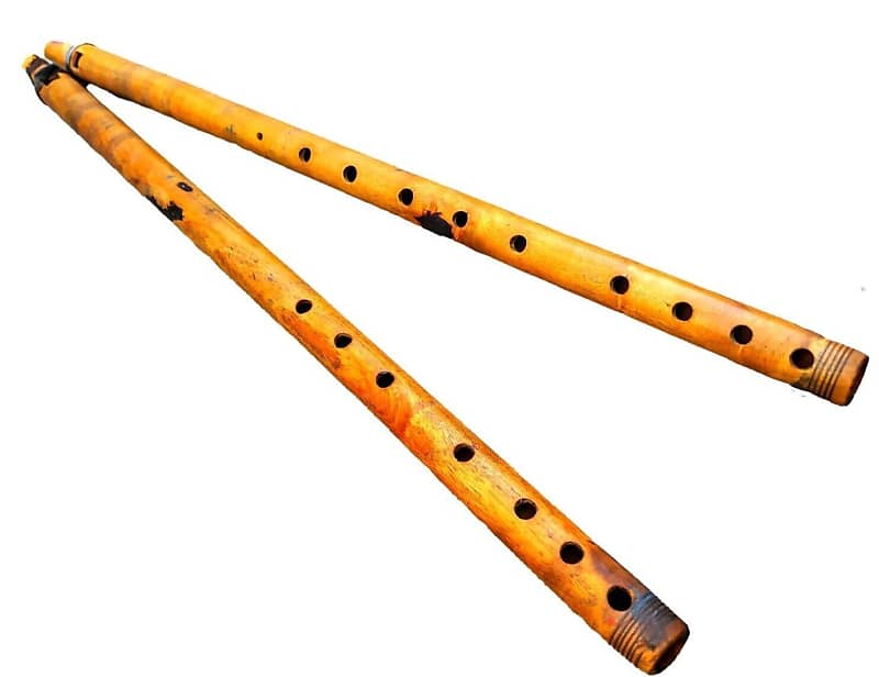 Naad Professional Rajasthani Folk Musical Instrument Algoza Reverb