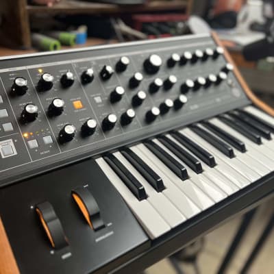 Moog Subsequent 25 Analog Synth 2020 - Present - Black