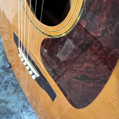 Epiphone Orville Pr775sDreadnaught 1990 - Natural image 8