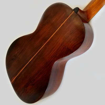 Vintage George Washburn Parlor  Acoustic Guitar - ( Est: 1880-1920 ) image 16