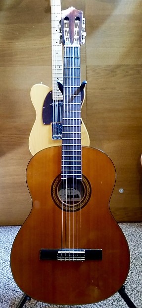 Sigma nylon string clearance guitar